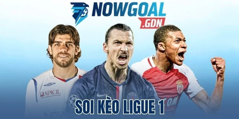 Thời gian đánh kèo trên chuẩn từ chuyên gia