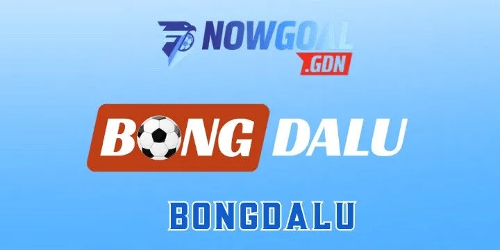 Bongdalu - Vừa xem livestream bóng đá HD vừa soi kèo cực đã