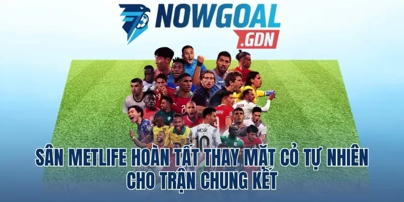 Sân MetLife Hoàn Tất Thay Mặt Cỏ Tự Nhiên Cho Trận Chung Kết